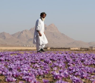 Agriculure (1) Agriculure (1)