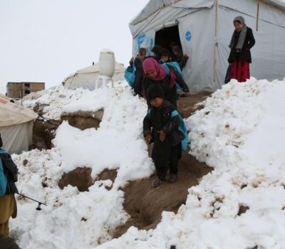 social and development (2)